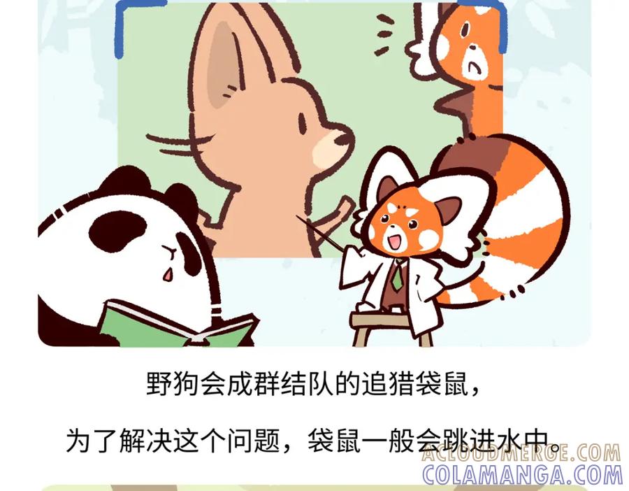 《胖达x胖达》第233话 第23页