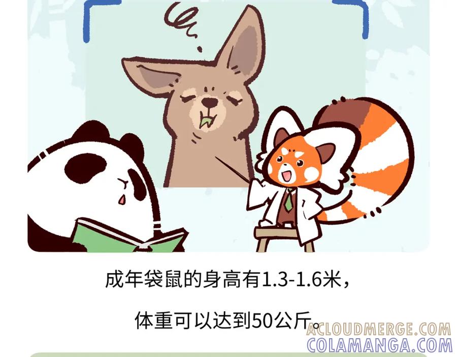 《胖达x胖达》第233话 第17页