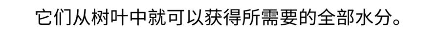 《胖达x胖达》第234话 第21页