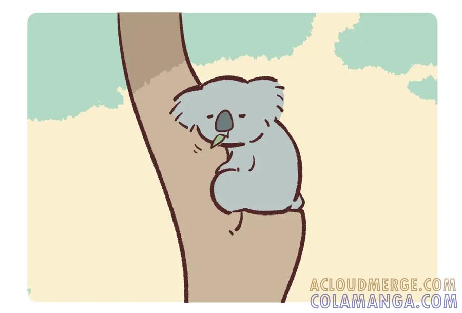 《胖达x胖达》第234话 第3页