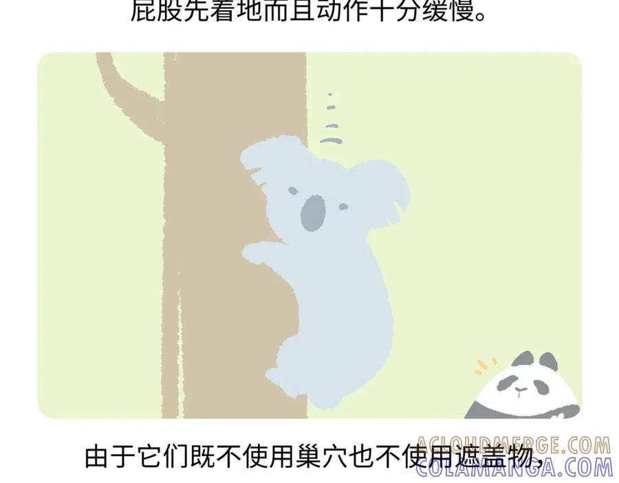 《胖达x胖达》第234话 第27页