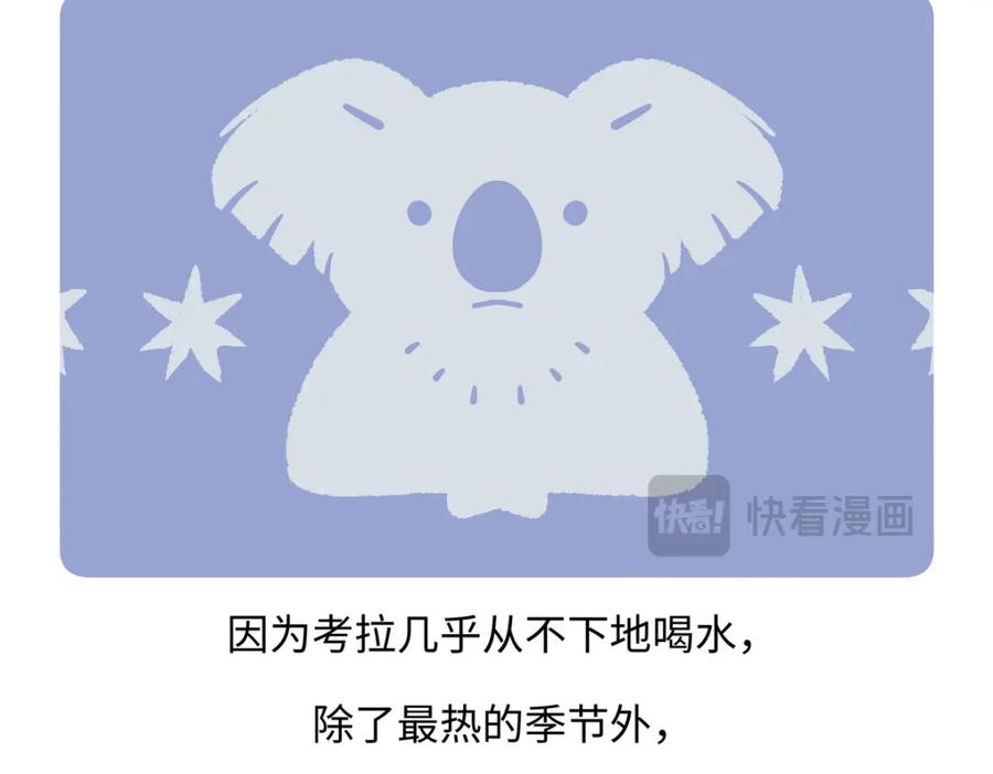 《胖达x胖达》第234话 第20页