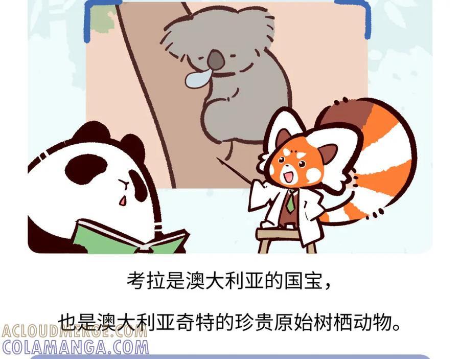 《胖达x胖达》第234话 第19页