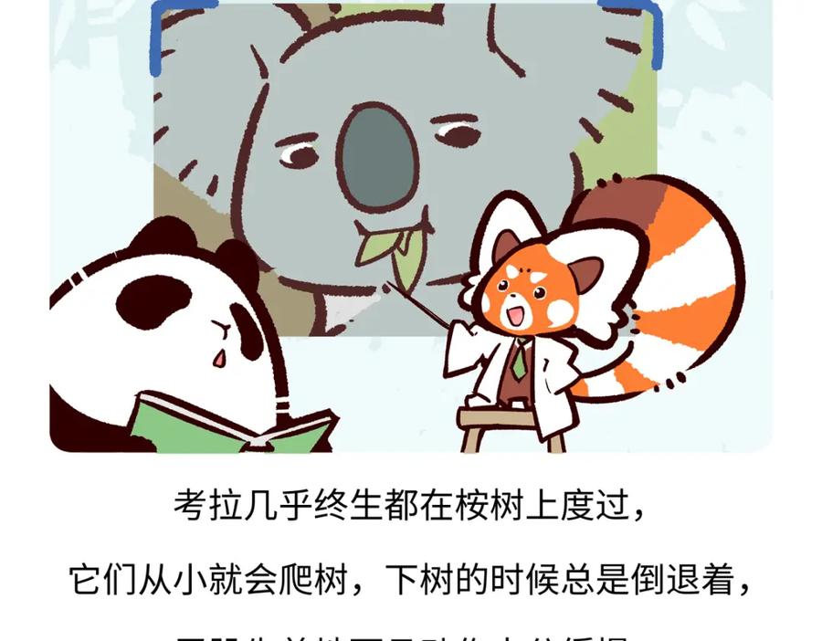 《胖达x胖达》第234话 第26页