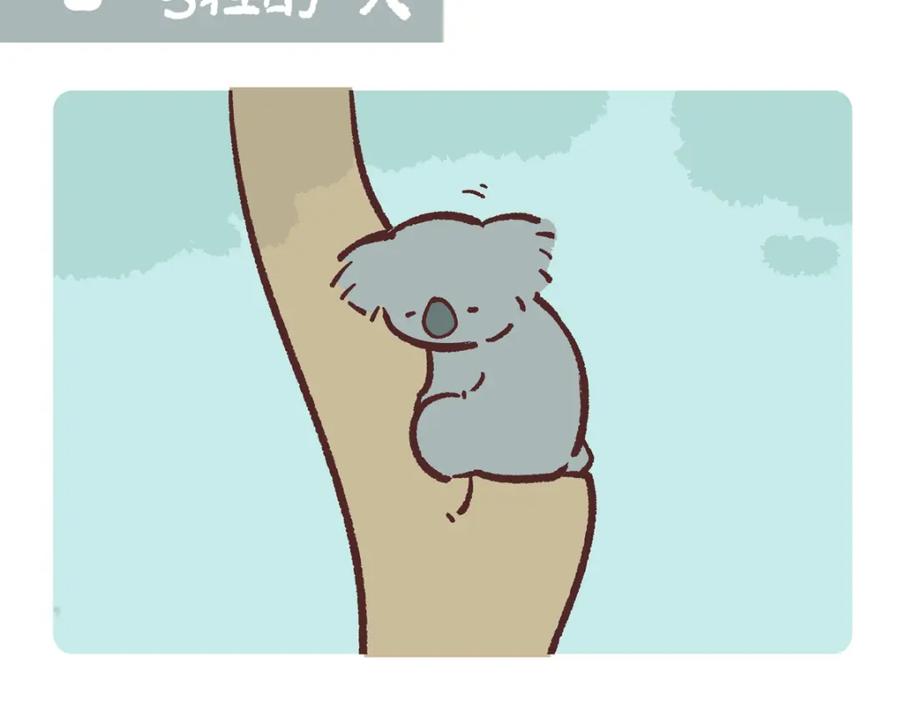 《胖达x胖达》第234话 第2页