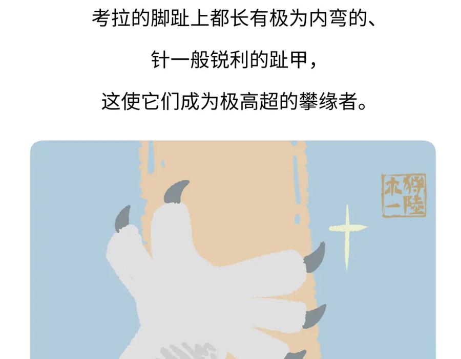 《胖达x胖达》第234话 第30页