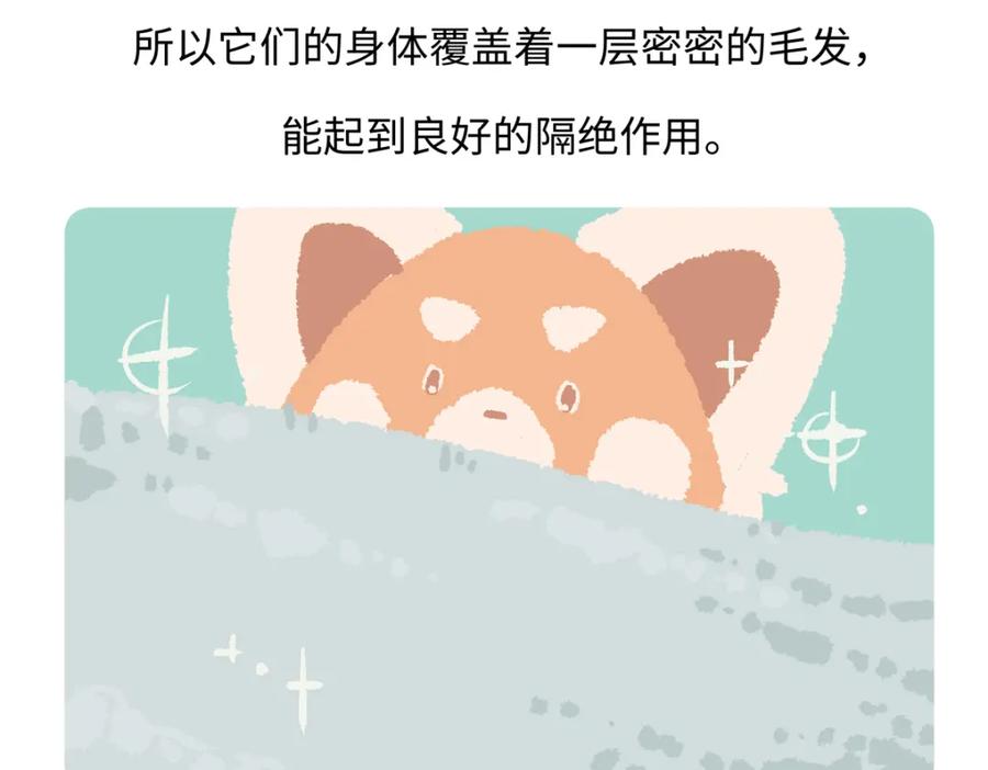 《胖达x胖达》第234话 第28页