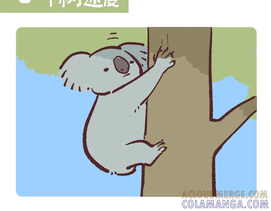 《胖达x胖达》第234话 第13页