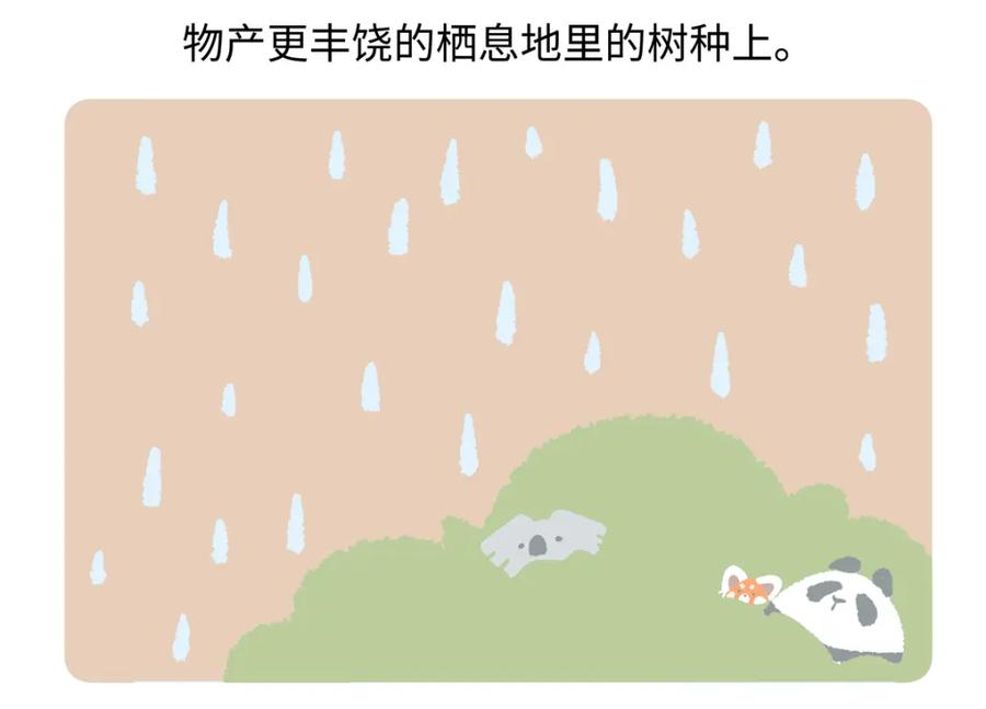 《胖达x胖达》第235话 第28页