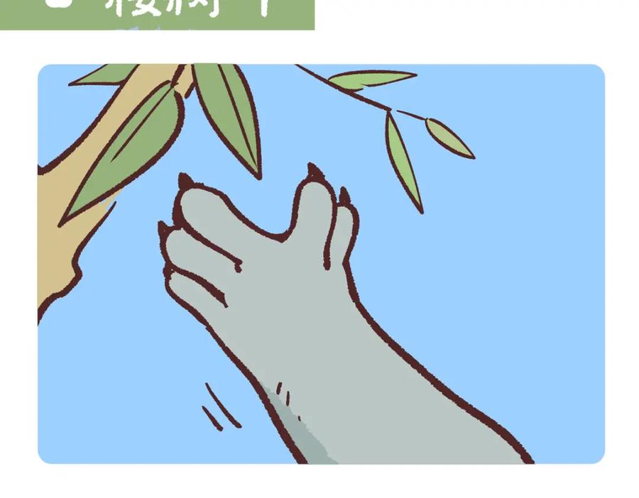 《胖达x胖达》第235话 第2页