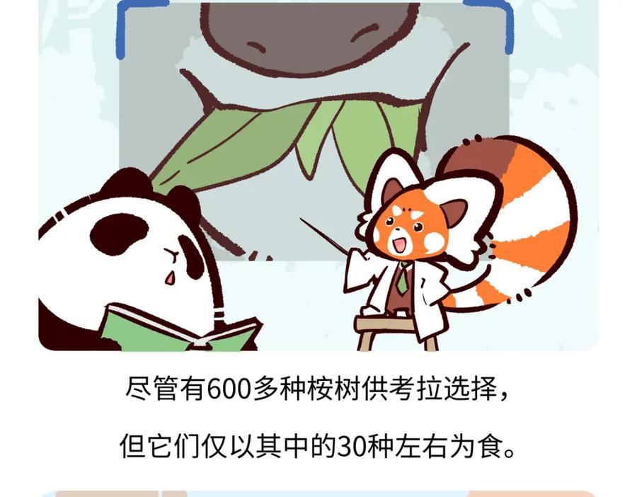 《胖达x胖达》第235话 第26页