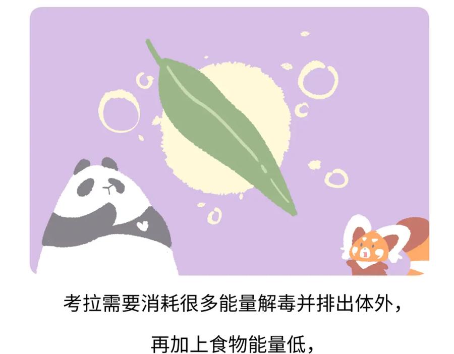 《胖达x胖达》第235话 第22页