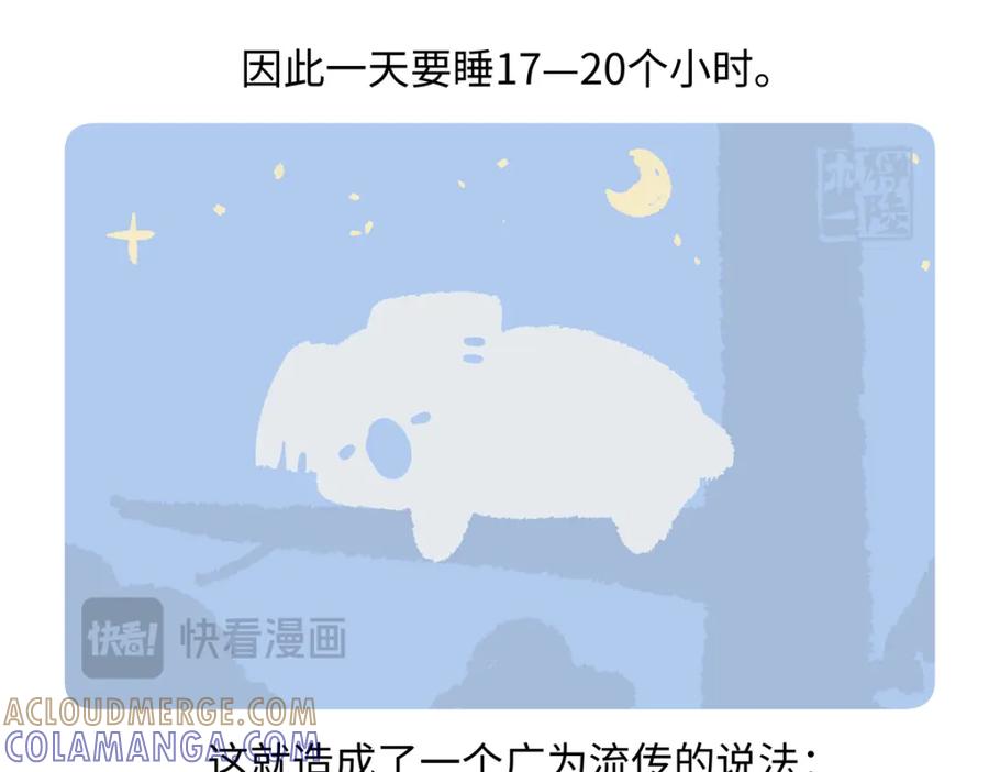 《胖达x胖达》第235话 第23页