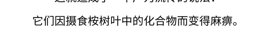 《胖达x胖达》第235话 第24页