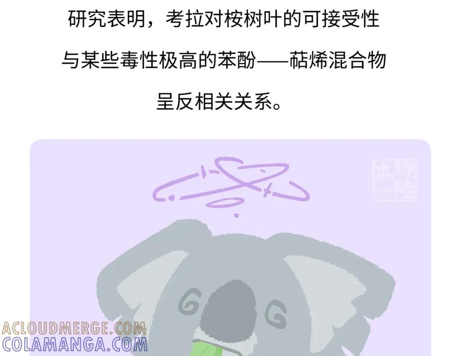 《胖达x胖达》第235话 第29页
