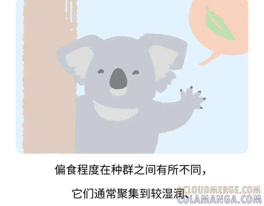 《胖达x胖达》第235话 第27页
