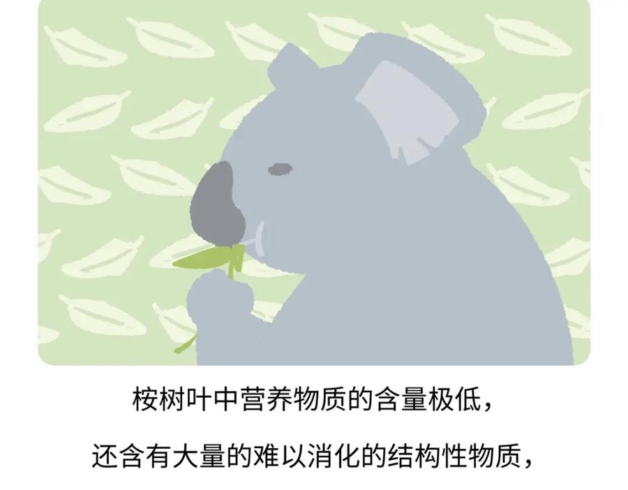 《胖达x胖达》第235话 第20页