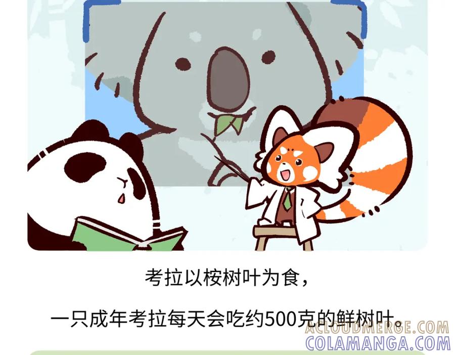 《胖达x胖达》第235话 第19页