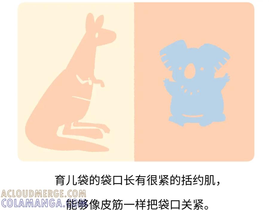 《胖达x胖达》第236话 第21页