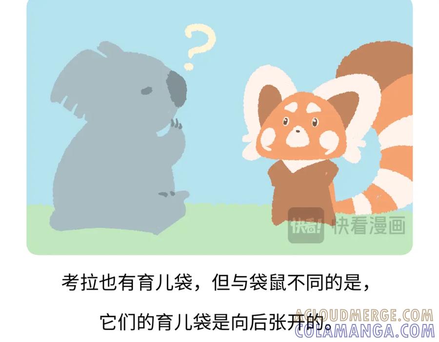 《胖达x胖达》第236话 第19页