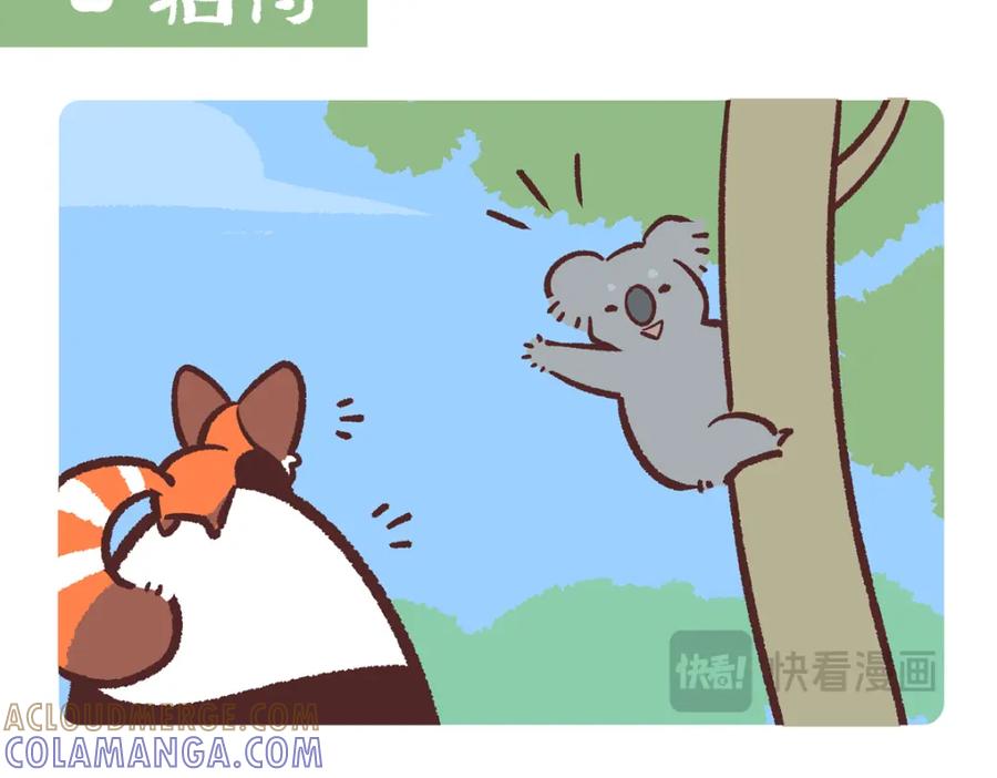 《胖达x胖达》第236话 第13页