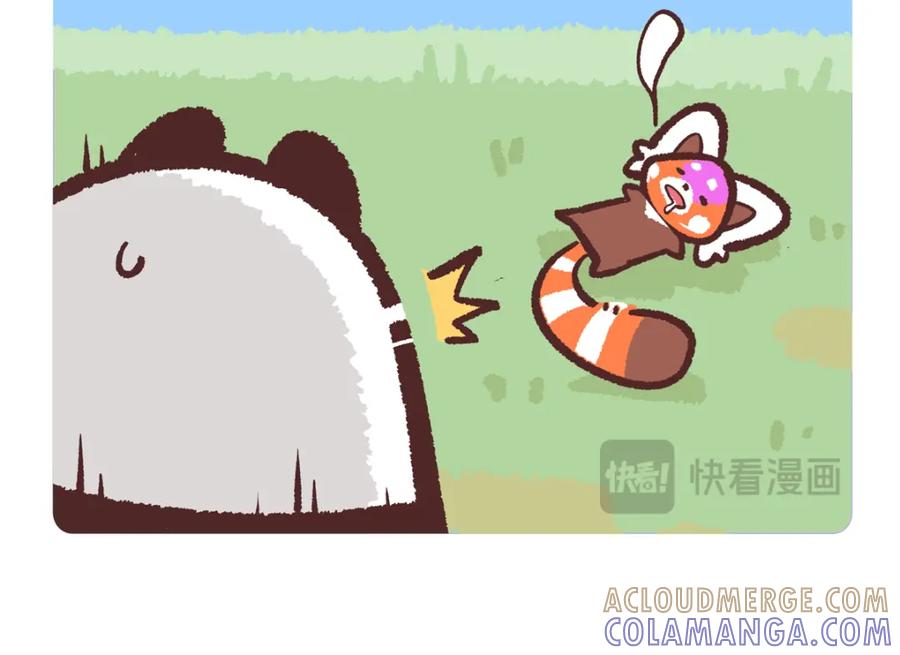《胖达x胖达》第236话 第5页