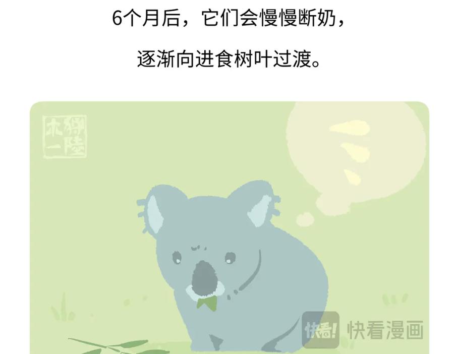 《胖达x胖达》第236话 第28页
