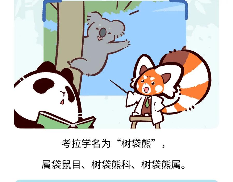 《胖达x胖达》第236话 第18页