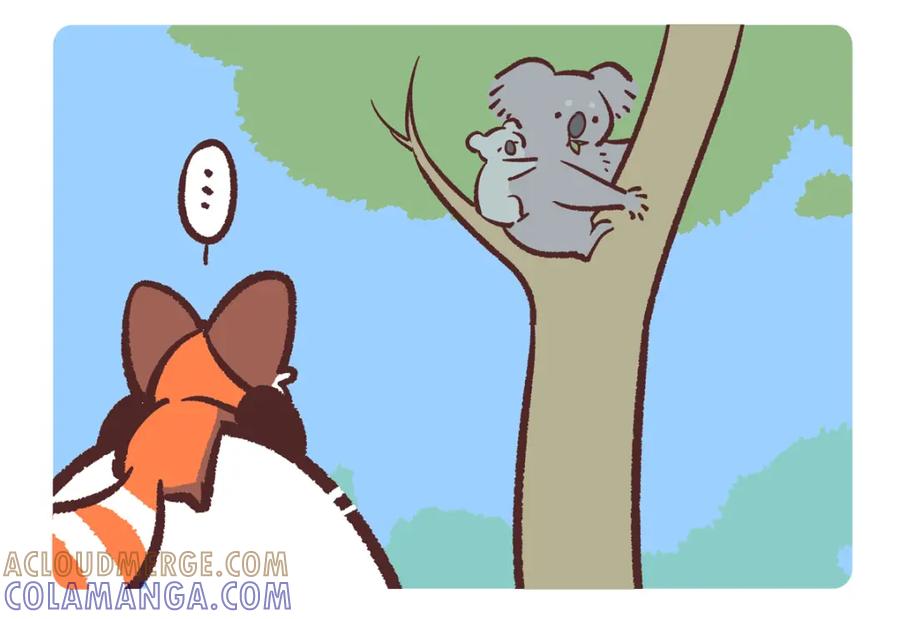 《胖达x胖达》第237话 第3页
