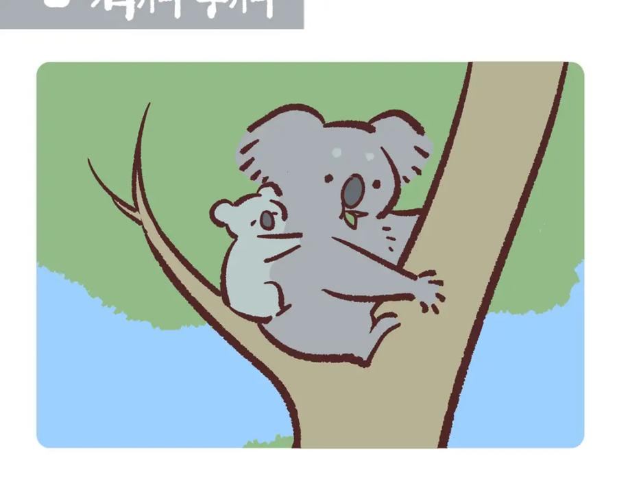 《胖达x胖达》第237话 第2页