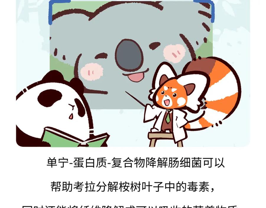 《胖达x胖达》第237话 第26页