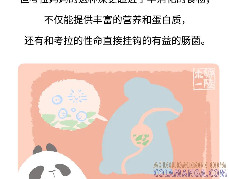 《胖达x胖达》第237话 第23页