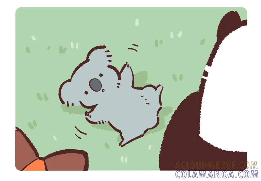 《胖达x胖达》第237话 第9页