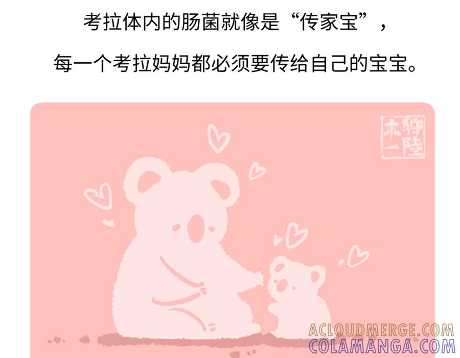 《胖达x胖达》第237话 第29页
