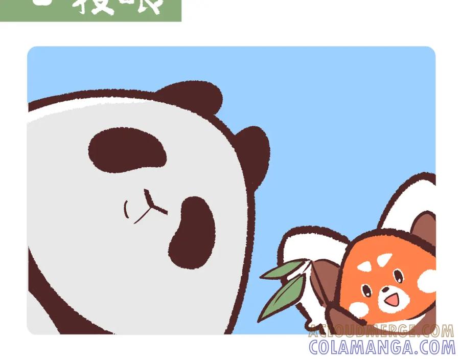 《胖达x胖达》第237话 第13页