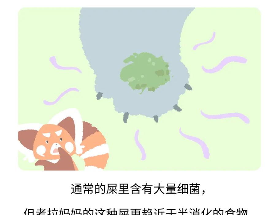 《胖达x胖达》第237话 第22页