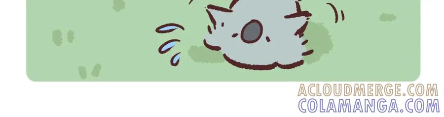 《胖达x胖达》第237话 第17页