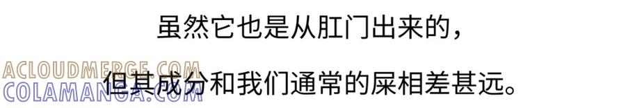 《胖达x胖达》第237话 第21页