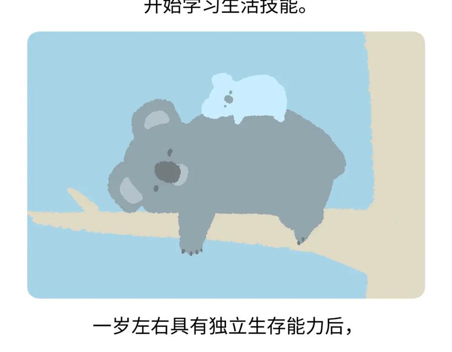 《胖达x胖达》第238话 第20页