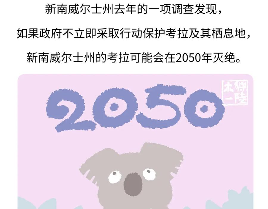 《胖达x胖达》第238话 第30页