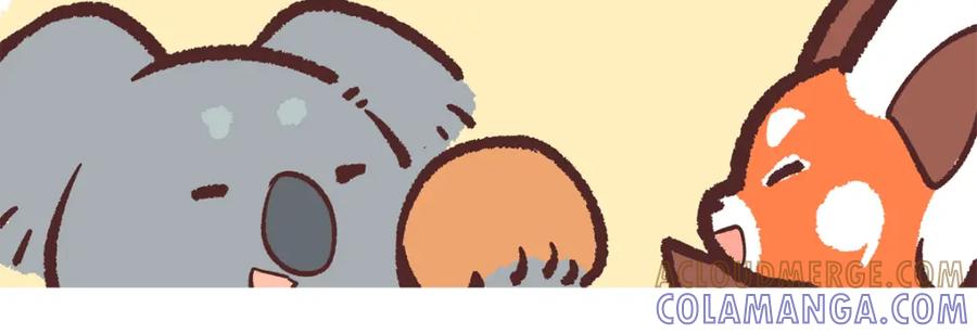 《胖达x胖达》第238话 第17页