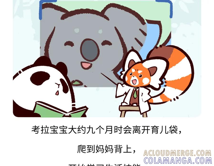 《胖达x胖达》第238话 第19页