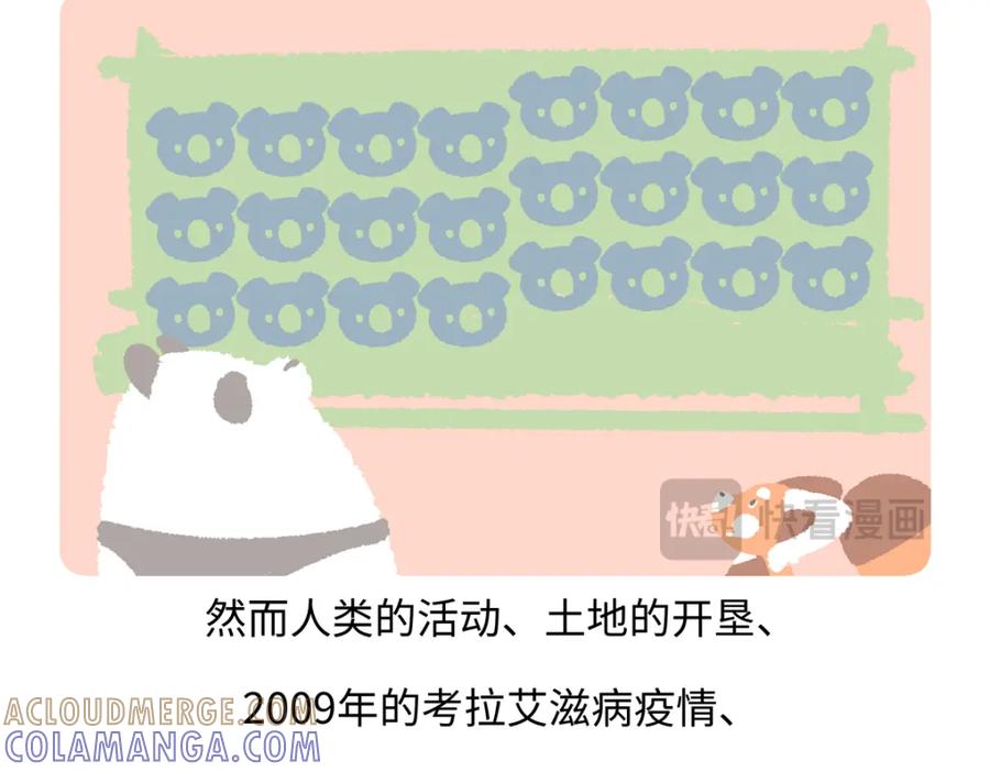 《胖达x胖达》第238话 第27页