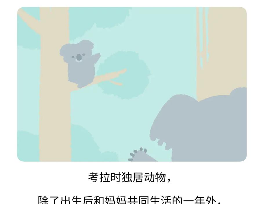 《胖达x胖达》第238话 第22页
