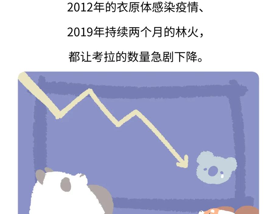 《胖达x胖达》第238话 第28页
