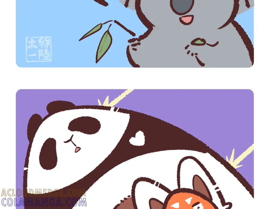 《胖达x胖达》第238话 第5页