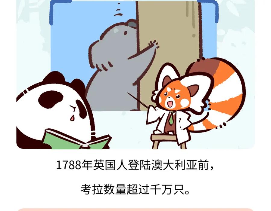 《胖达x胖达》第238话 第26页