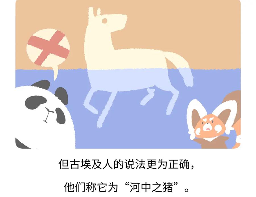 《胖达x胖达》第239话 第20页