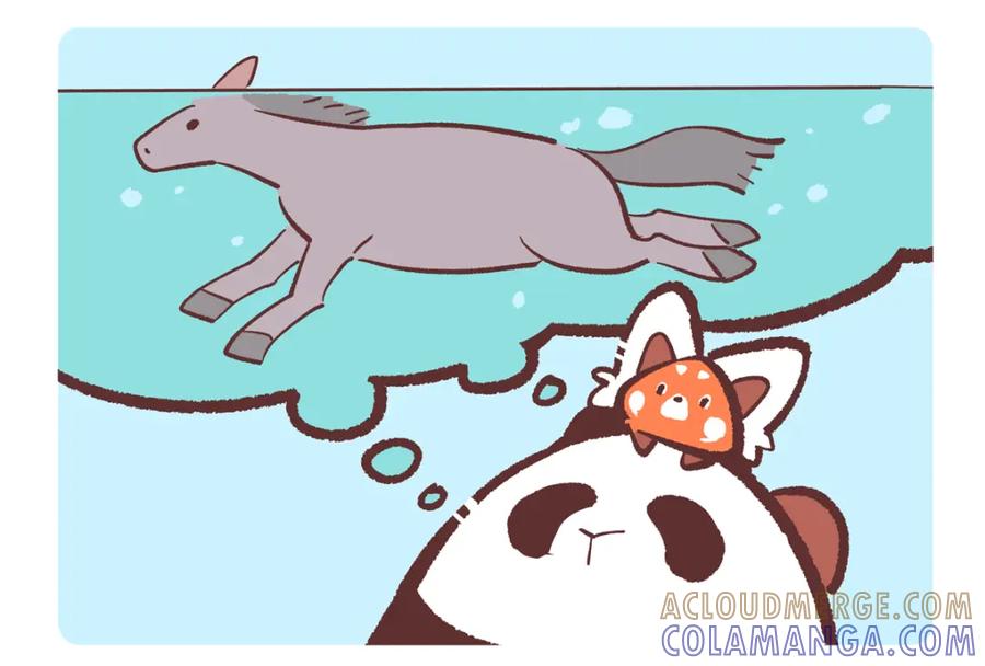 《胖达x胖达》第239话 第3页