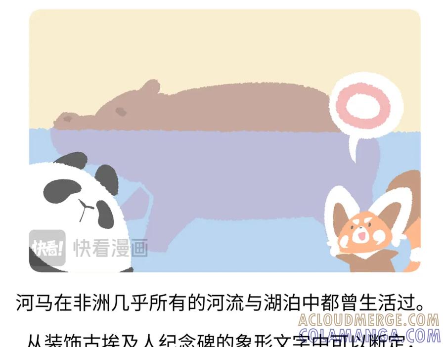 《胖达x胖达》第239话 第21页